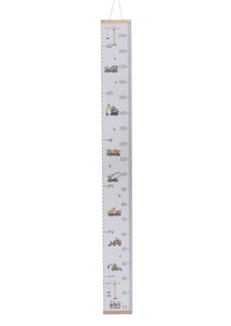 Height Chart Construction