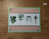 Handmade Greeting Cards Houseplant
