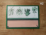 Handmade Greeting Cards Houseplant