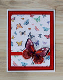Handmade Greeting Cards Summer Butterfly