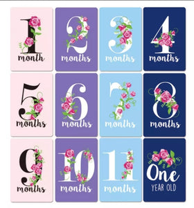 Baby Milestone Card set Rose