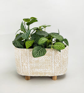 Planter Sasha Oval